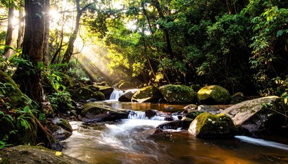 Obraz premium Sun Dappled Light on Jungle Stream and Small Cascade