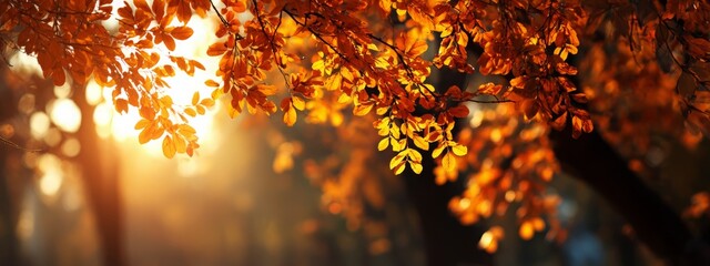 orange autumn leaves in the park, Generative AI,