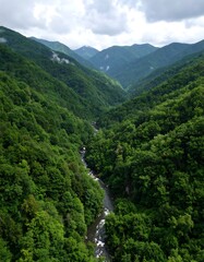 Verdant mountain valley