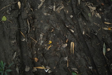 Soil texture baground image