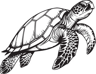 Fototapeta premium Majestic Turtle's Serene Voyage: A stunning illustration of a sea turtle gracefully navigating the deep, its form elegantly captured with detailed linework, inviting viewers into its tranquil realm.