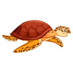Png turtle Cartoon, Sea Creatures On White Background Vector PNG Image