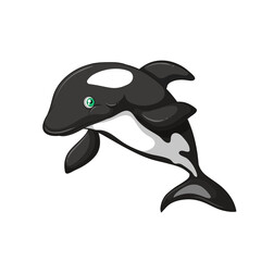 Png dolphin Cartoon  illustration