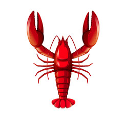 Png crayfish on white background