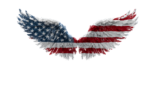 Angel wings wrapped around US flag