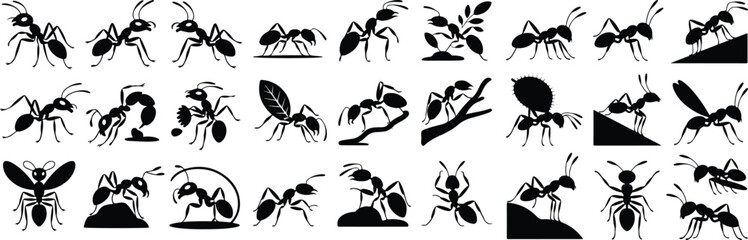 Fototapeta premium Ant Silhouette Icon Set – Creative Insect Designs Ant Icon Vector Collection – Minimal and Stylish Bugs