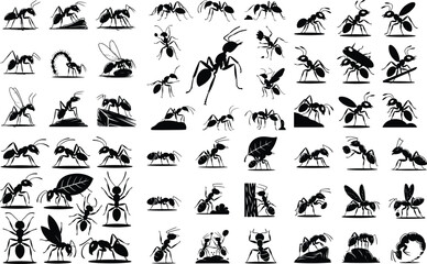Ant Silhouette Icon Set &ndash; Creative Insect Designs Ant Icon Vector Collection &ndash; Minimal and Stylish Bugs