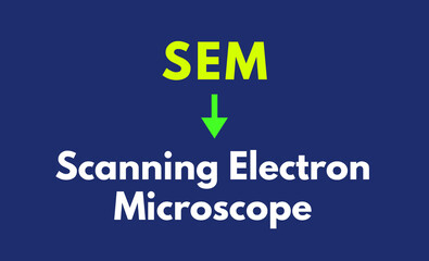 SEM Meaning, Scanning Electron Microscope