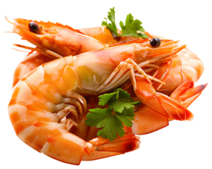 Cooked pink shrimp with parsley garnish isolated on a transparent background prawns