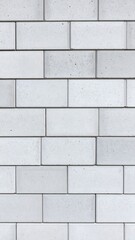 Fototapeta premium Vertical image of white rectangular bricks
