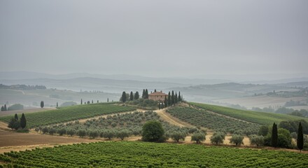 Naklejka premium A panoramic view of a Tuscan vineyard in autumn with green fields, rolling hills, and a dramatic sky