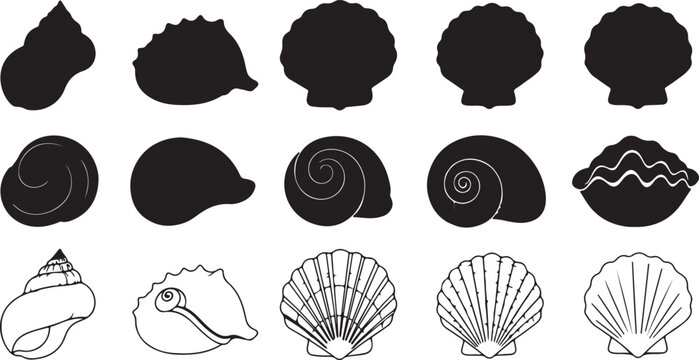 Collection of diverse seashell silhouettes and line drawings on white background