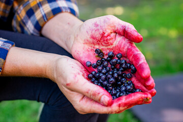 Woman with handful of freshly harvested forest berries