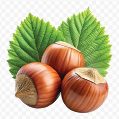 realistic 3d three hazelnuts with green leaves in different style isolated on transparent background