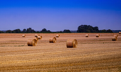 Bale siana © Piotr