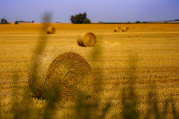 Krajobraz po żniwach bale siana © Piotr