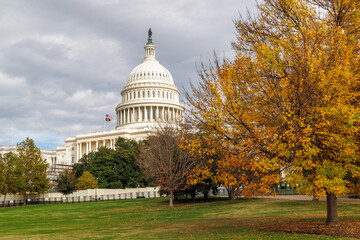 The U.S. Capitol in Washington, D.C., surrounded by vibrant autumn foliage © Evgeny Karandaev