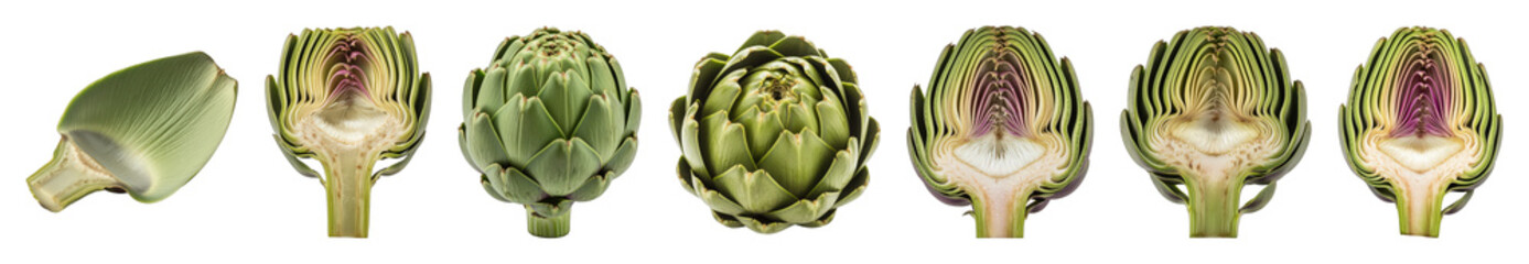 Obraz premium Green artichoke set including whole, halved, and single leaf isolated. Healthy ingredient and botanical food collection.