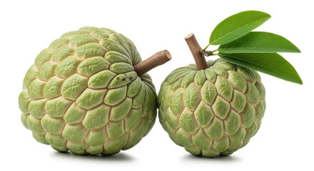 Obraz premium Freshly harvested custard apples with green leaves and stems against a clean white background representing natural healthy food