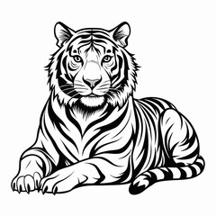 tiger on white background
