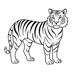 hand drawn tiger