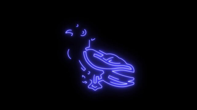 Cockatoo Led Light Box, Parrot Wall Art Decor, Personalized