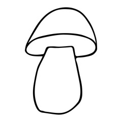  Hand drawn sketch style mushroom. useful boletus mushrooms. mushroom outline coloring page kids book vector Illustration.