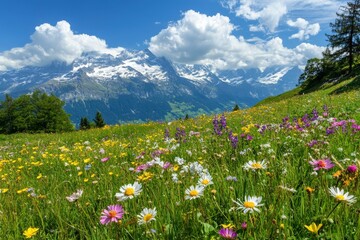 Field of flowers with a blue sky in the background