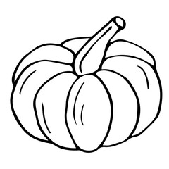 Halloween Doodle pumpkin. Hand drawn vector illustration. Pumpkin outline coloring page kids book vector Illustration.