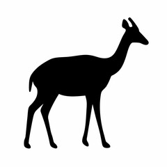 Fototapeta premium Black silhouette of a standing antelope like animal on white background