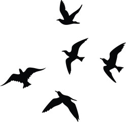 Silhouetted Birds Soaring Against a Clean White Backdrop Displaying Freedom and the Beauty of Wildlife in Motion in an Artistic Manner