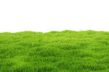 Lush green grass field isolated on white background with realistic texture and depth, 3D Rendering, ideal for nature, lawn, and landscaping themes