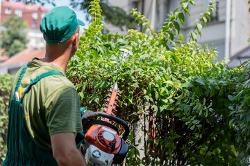 Professional gardener trimming bush with a brush cutter. Garden worker cares of plant cutting bush, mowing grass. Park maintenance