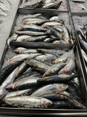 Fototapeta premium Fresh anchovies on the counter in a Spanish shop