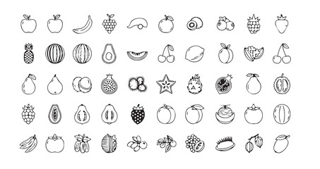 Fruits line art icon bundle illustration