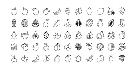 Fruits line art icon bundle illustration