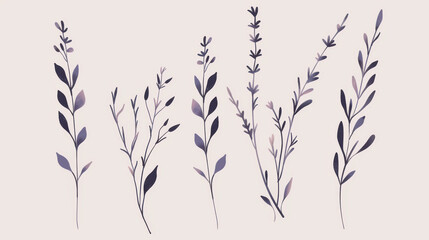 Obraz premium Lavender Botanical Line Art