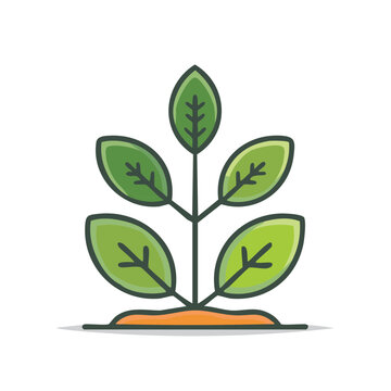 Icon of small plant in soil with green leaves vector illustration