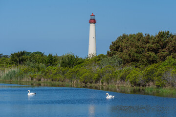 Cape May Lighthouse casting its timeless reflection in tranquil pond waters.