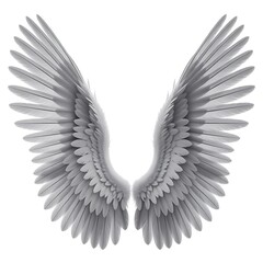 Fototapeta premium Majestic feathered wings displayed with intricate detail against a clean white backdrop