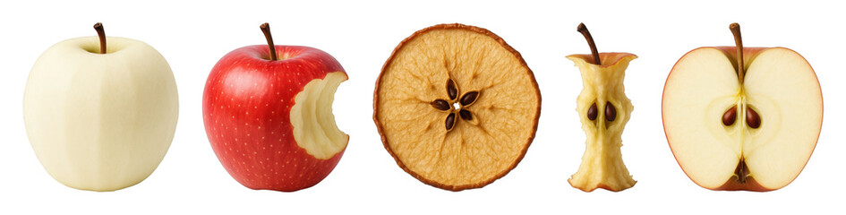 Apple set including peeled, bitten, dried slice, core, and halved stages isolated. Healthy food and consumption lifecycle.