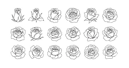 Rose line art icon bundle illustration