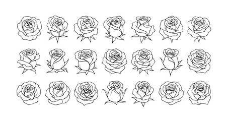 Rose line art icon bundle illustration