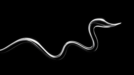 Fototapeta premium A smooth, flowing, silver line gracefully undulates against a stark black backdrop, creating a sense of motion and elegant design.