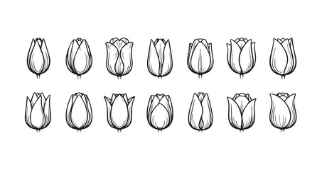 Tulip line art icon bundle illustration