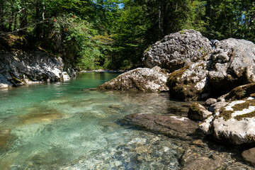 mountain river in the forest with clear green water and a natural pool in between rocks and trees in the nature of Bregenzer Wald in Vorarlberg Austria