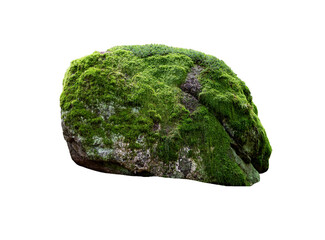 stone covered with moss isolated on white background