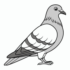 Fototapeta premium Cartoon Pigeon Standing on White Background dove bird