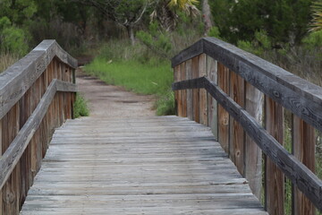 wooden bridge in the forest