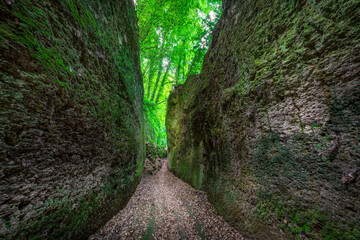 Via Cava San Rocco, etruscan excavated road in Sorano, Tuscany